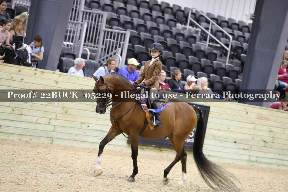 Proof 22BUCK_05229
