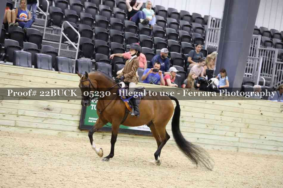 Proof 22BUCK_05230
