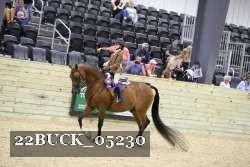 22BUCK_05230 proof