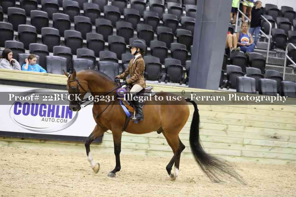 Proof 22BUCK_05231