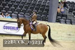 22BUCK_05231 proof