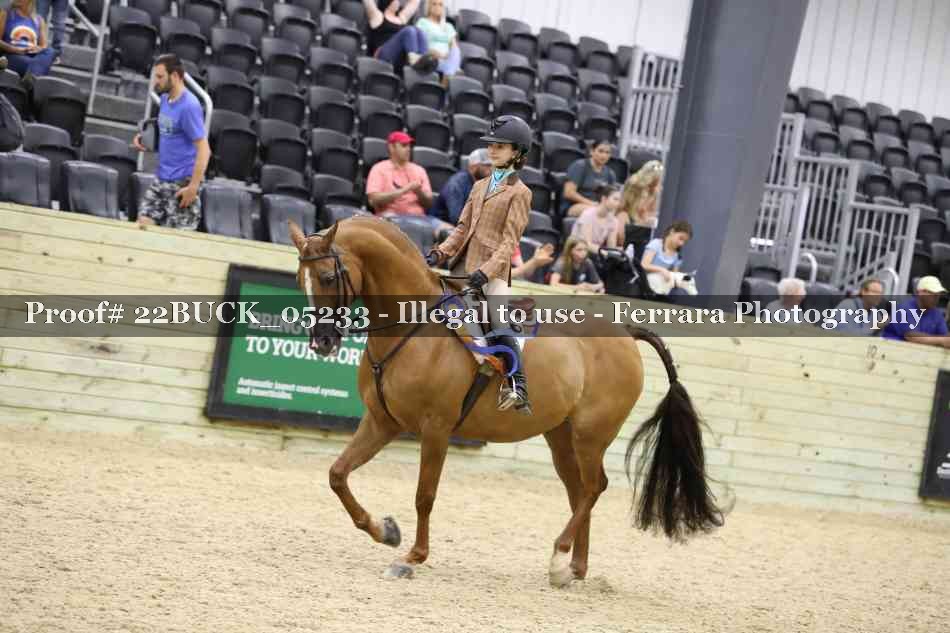 Proof 22BUCK_05233