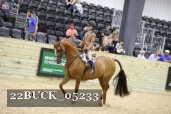 22BUCK_05233 proof