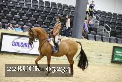 22BUCK_05234 proof