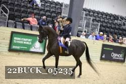 22BUCK_05235 proof