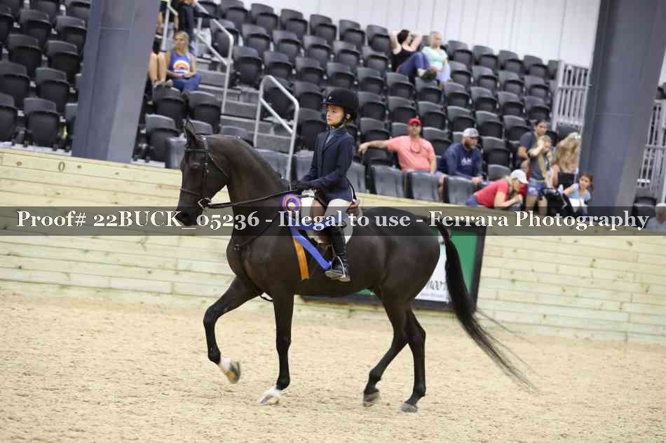 Proof 22BUCK_05236