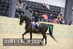 22BUCK_05236 proof