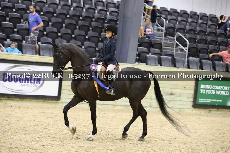 Proof 22BUCK_05237