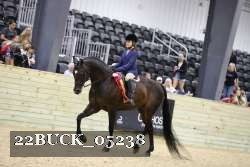 22BUCK_05238 proof
