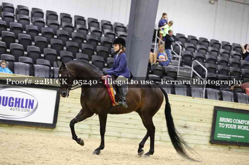 Proof 22BUCK_05240