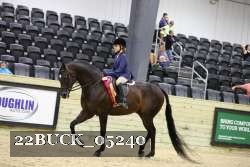 22BUCK_05240 proof