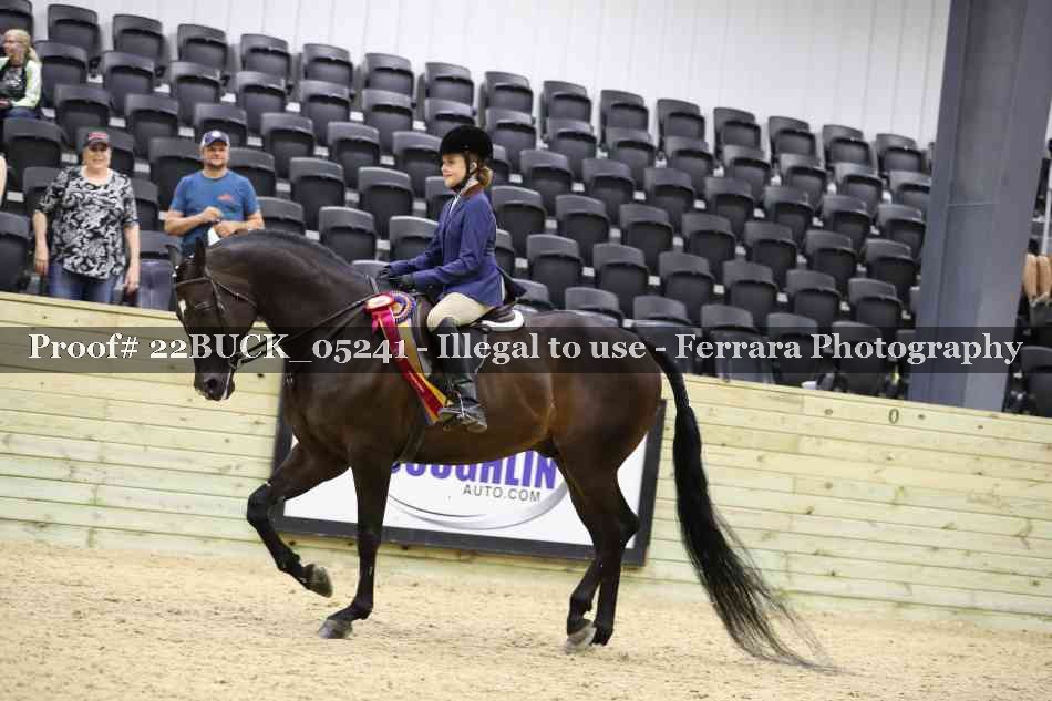 Proof 22BUCK_05241