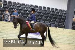 22BUCK_05241 proof