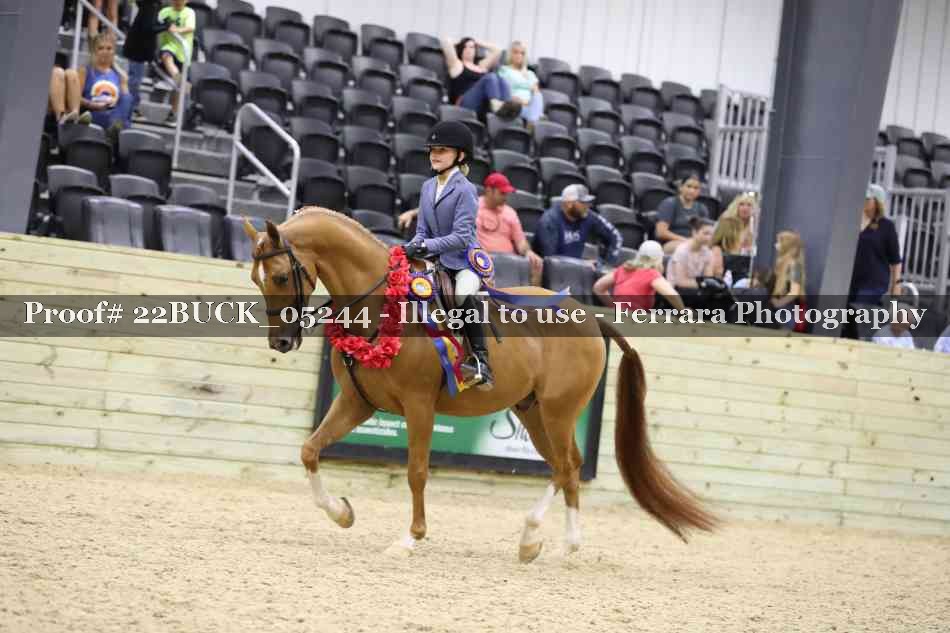Proof 22BUCK_05244