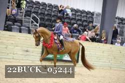 22BUCK_05244 proof