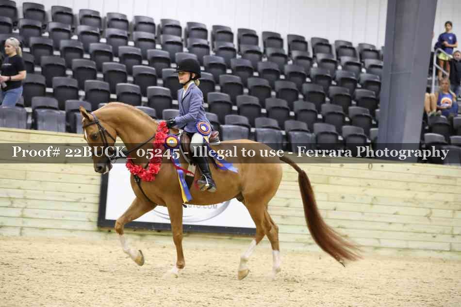 Proof 22BUCK_05245