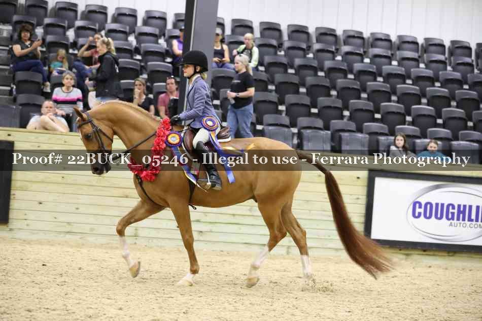 Proof 22BUCK_05246