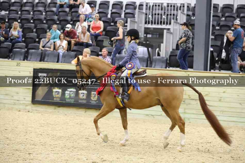 Proof 22BUCK_05247