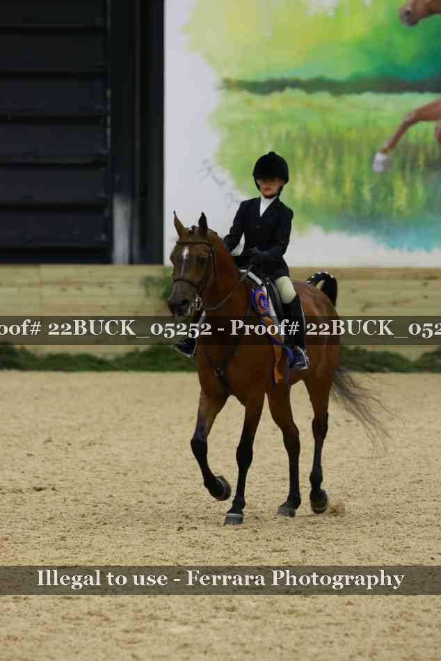 Proof 22BUCK_05252