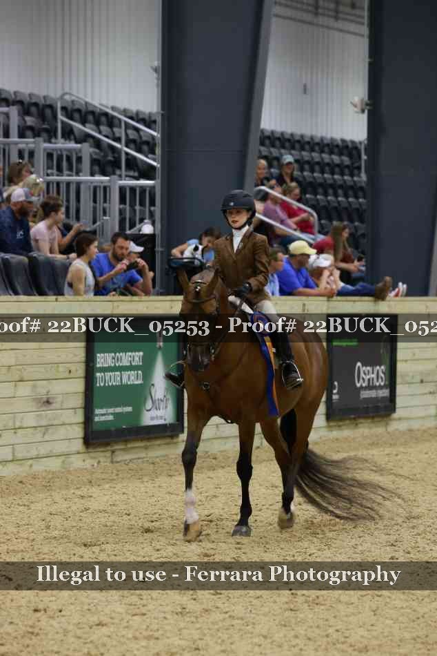 Proof 22BUCK_05253