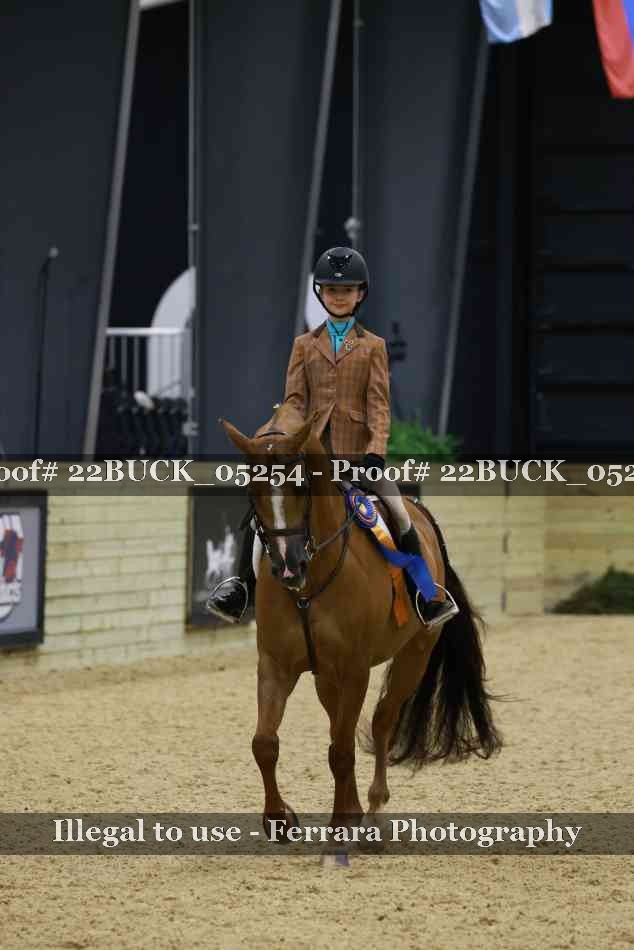 Proof 22BUCK_05254