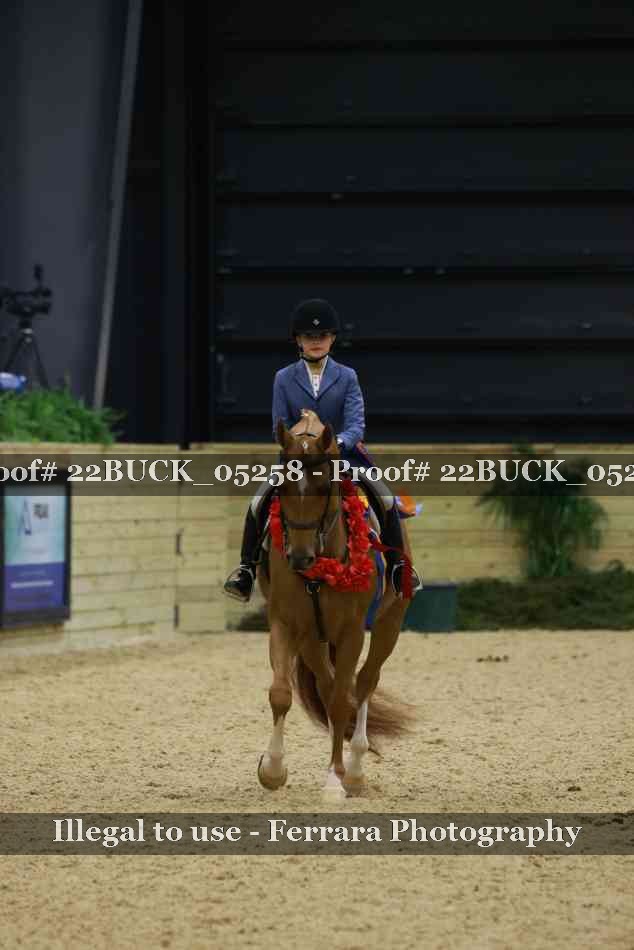 Proof 22BUCK_05258