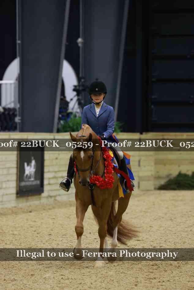 Proof 22BUCK_05259