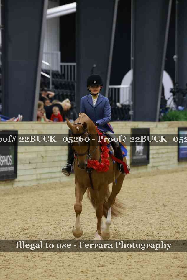 Proof 22BUCK_05260