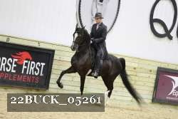 22BUCK_05261 proof
