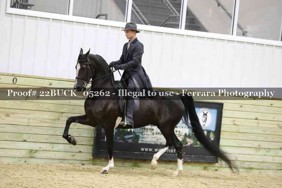 Proof 22BUCK_05262
