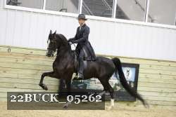 22BUCK_05262 proof
