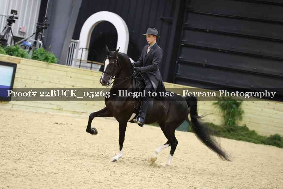 Proof 22BUCK_05263