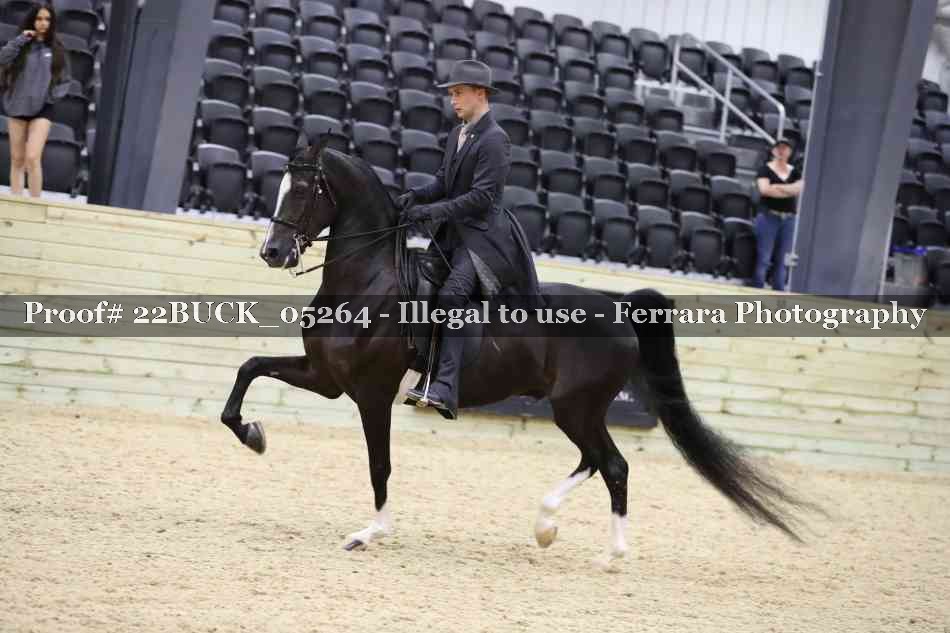Proof 22BUCK_05264