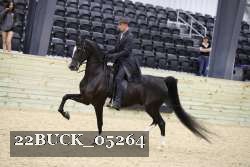 22BUCK_05264 proof