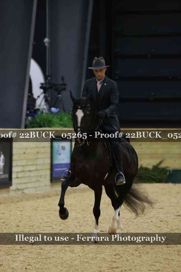 Proof 22BUCK_05265