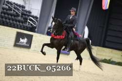 22BUCK_05266 proof