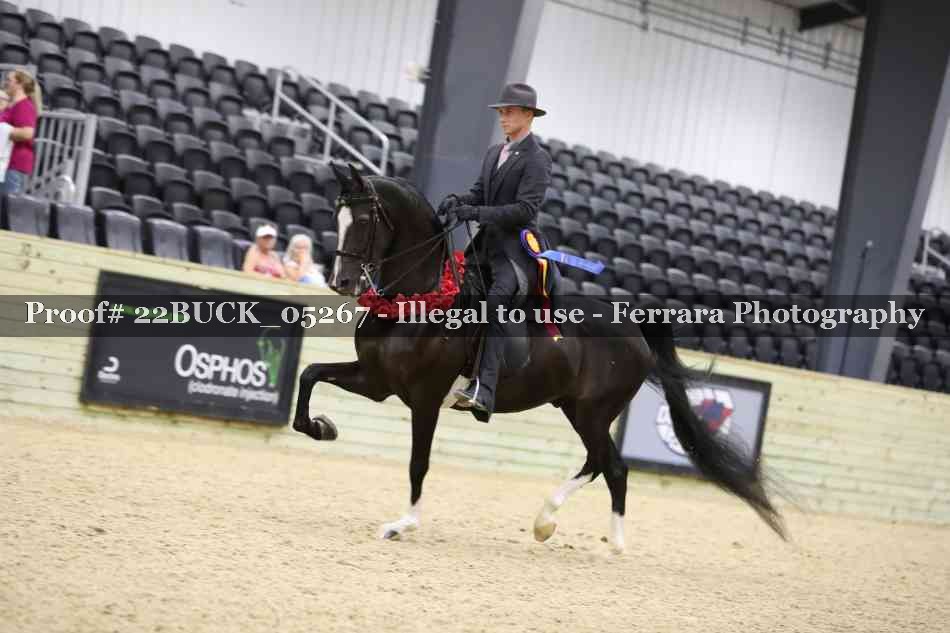 Proof 22BUCK_05267