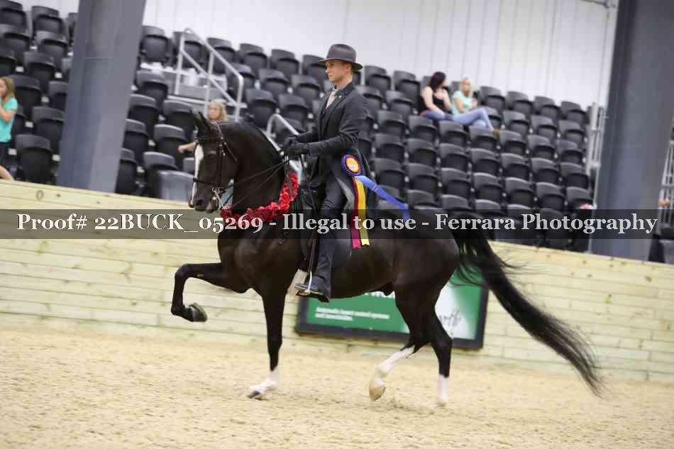 Proof 22BUCK_05269