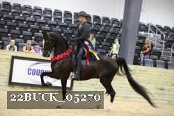 22BUCK_05270 proof