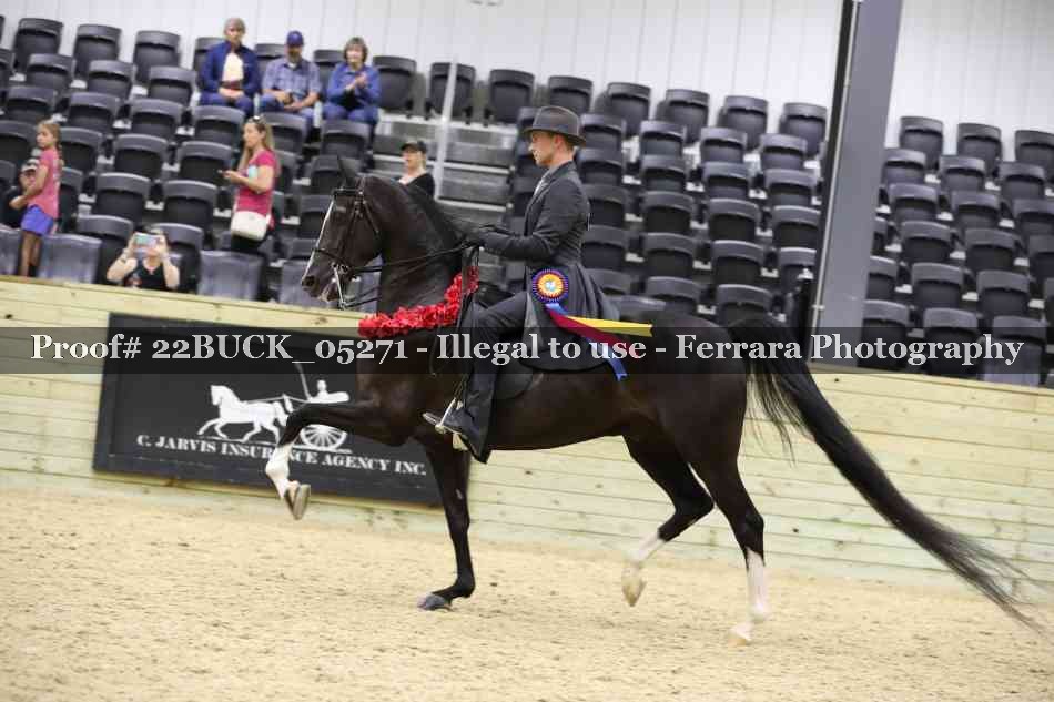 Proof 22BUCK_05271