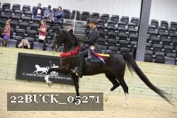 22BUCK_05271 proof