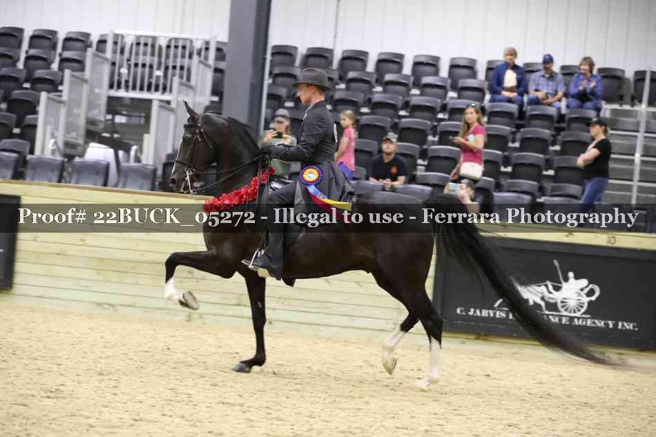 Proof 22BUCK_05272