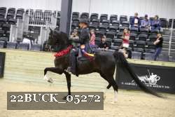 22BUCK_05272 proof
