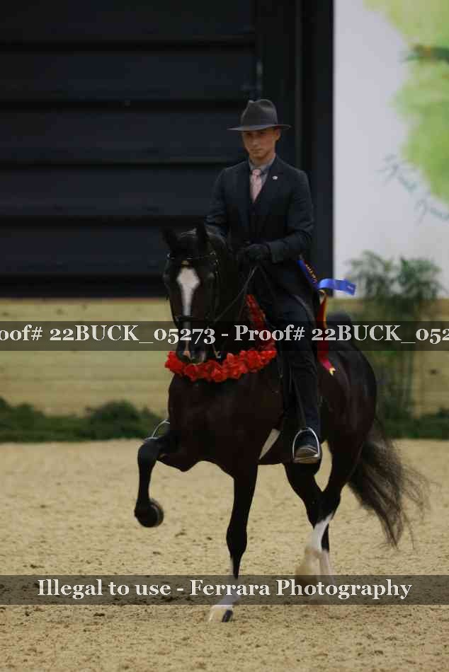 Proof 22BUCK_05273