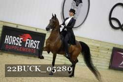 22BUCK_05280 proof