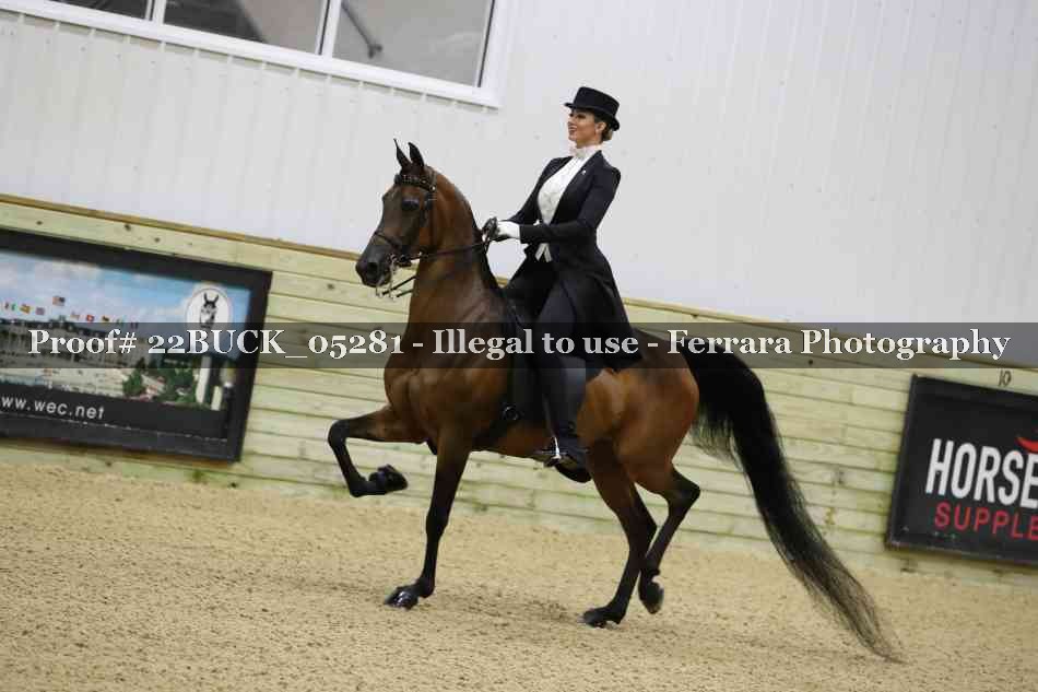 Proof 22BUCK_05281