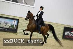 22BUCK_05281 proof