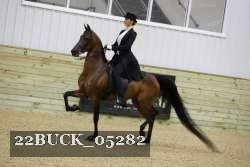 22BUCK_05282 proof