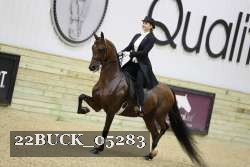 22BUCK_05283 proof