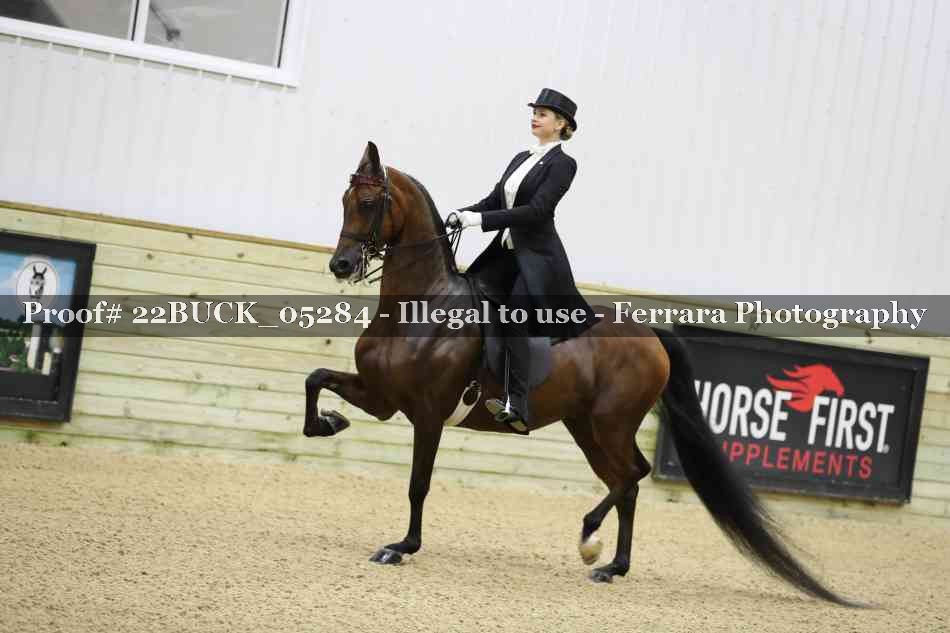 Proof 22BUCK_05284